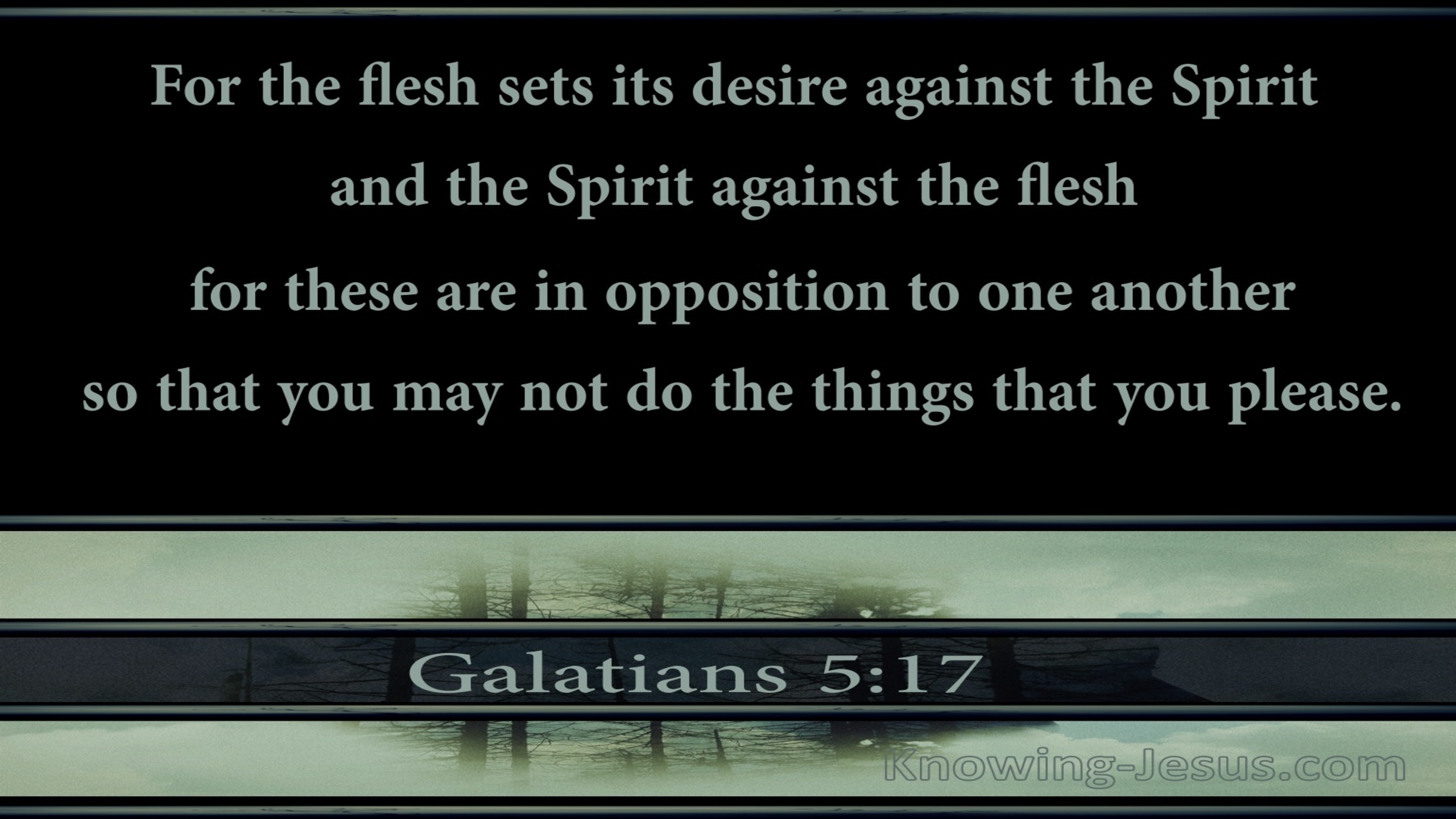 Galatians 5:17 The Flesh Lusts Against The Spirit (sage)